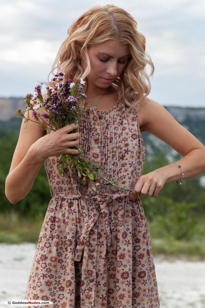 Wildflowers - picture 2