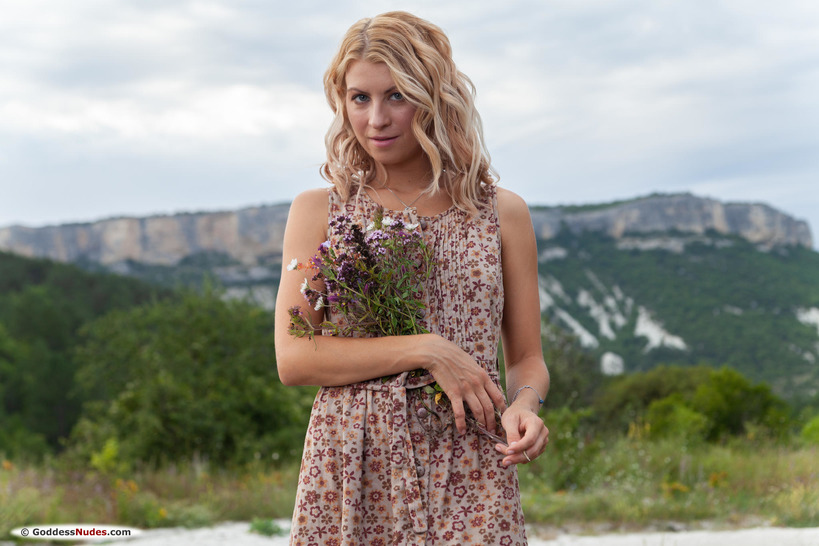 Wildflowers - picture 3