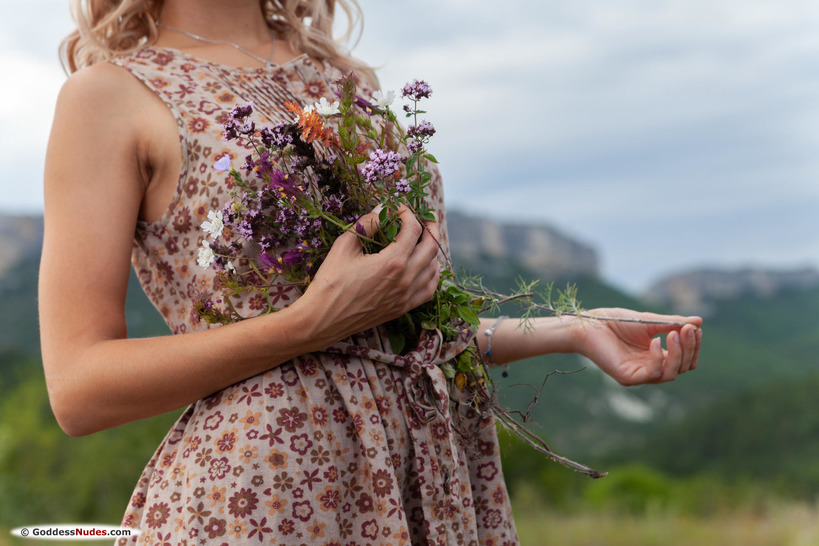 Wildflowers - picture 4