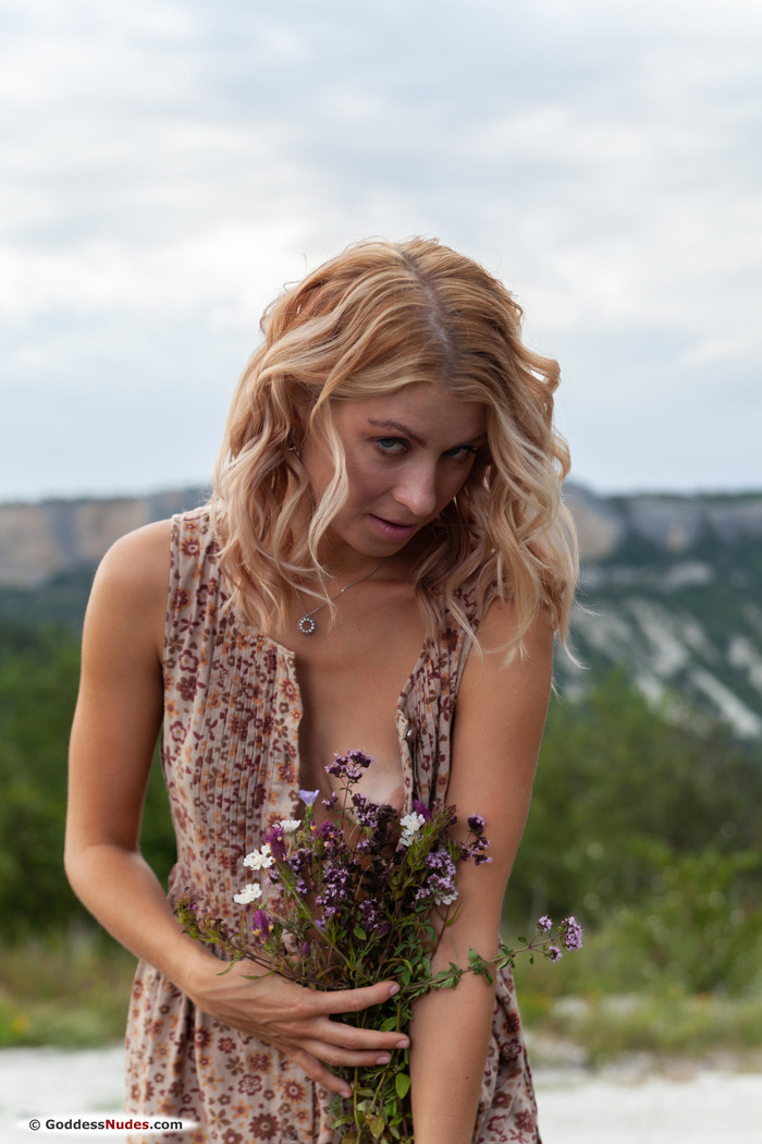 Wildflowers - picture 5