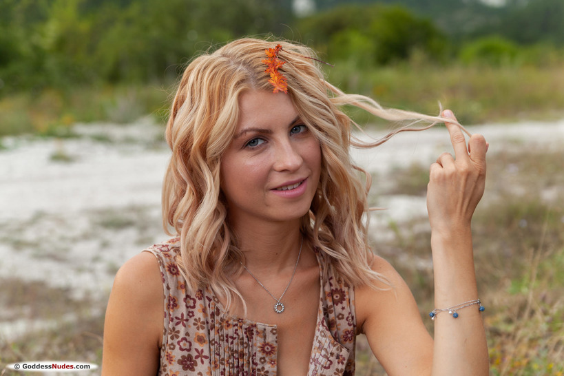 Wildflowers - picture 6