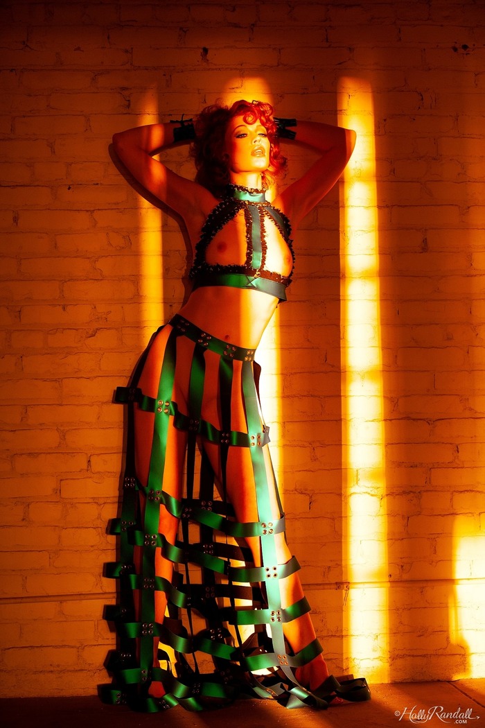 Last Light - picture 1