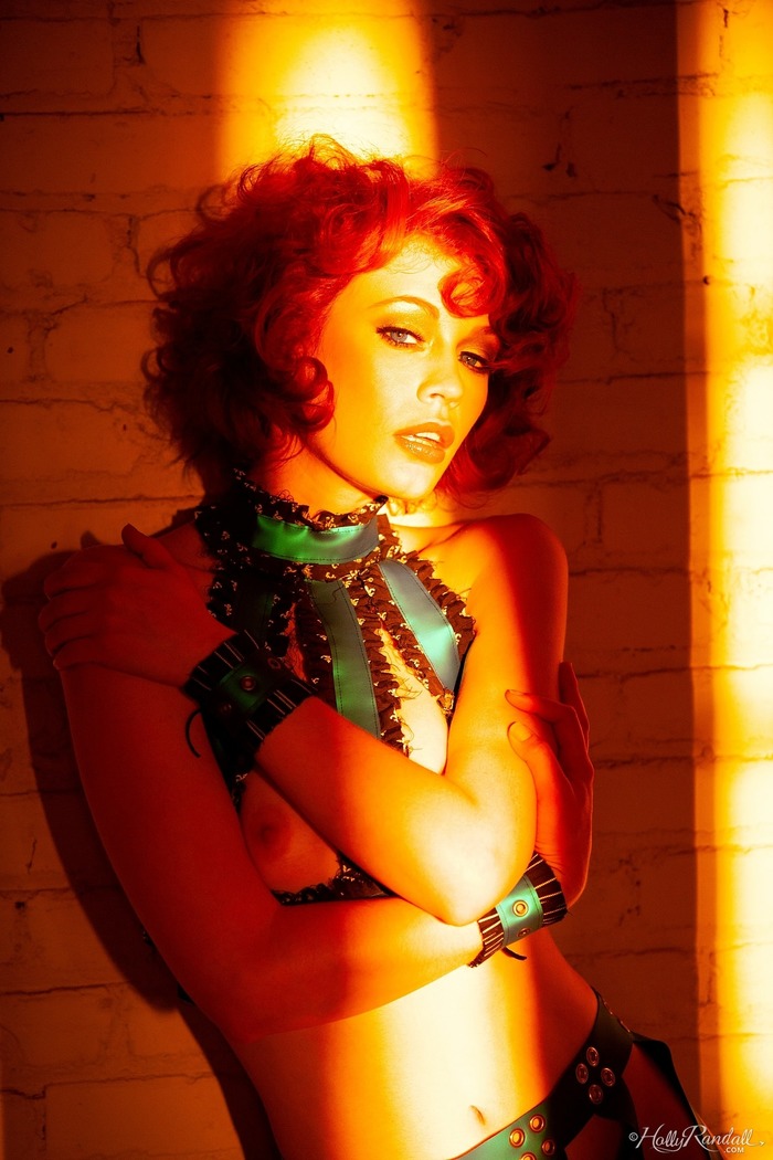 Last Light - picture 2