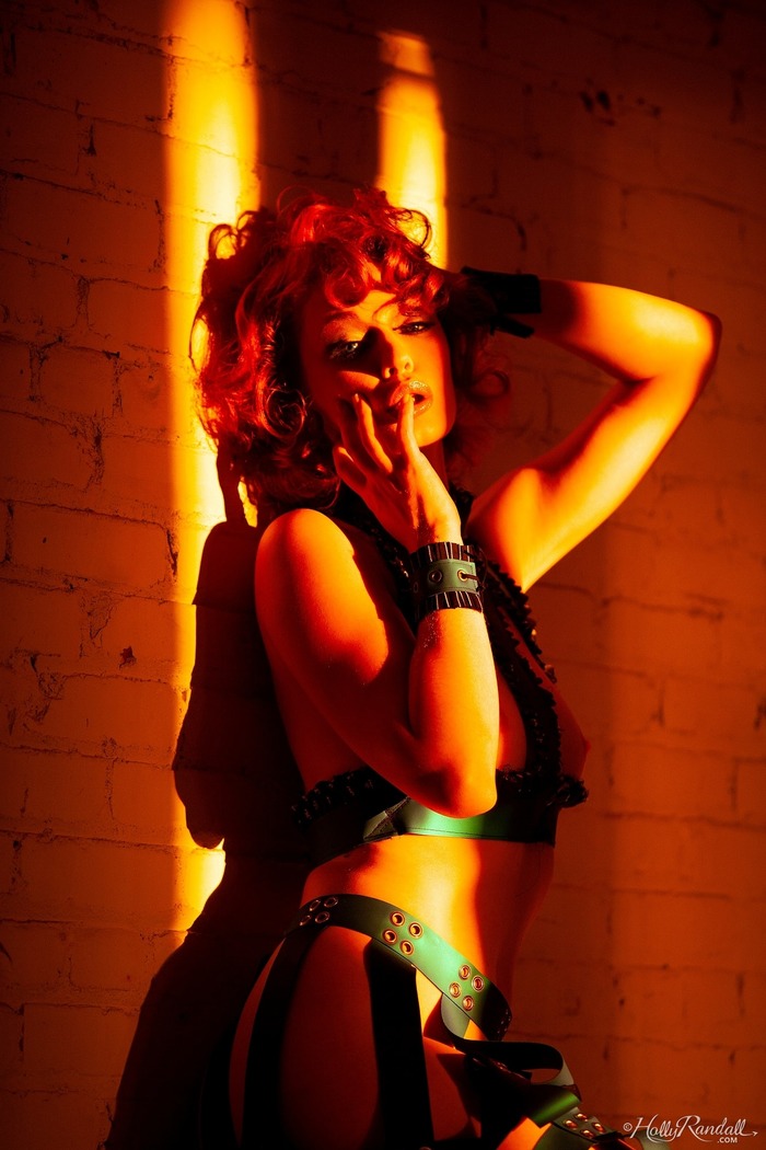 Last Light - picture 5