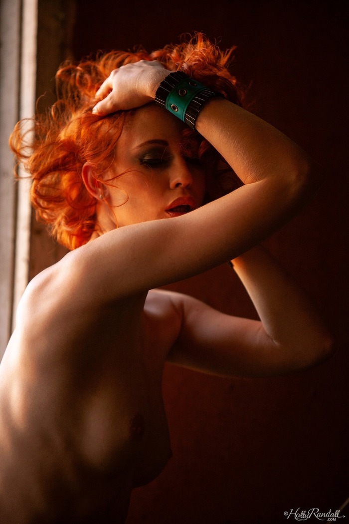 Last Light - picture 16