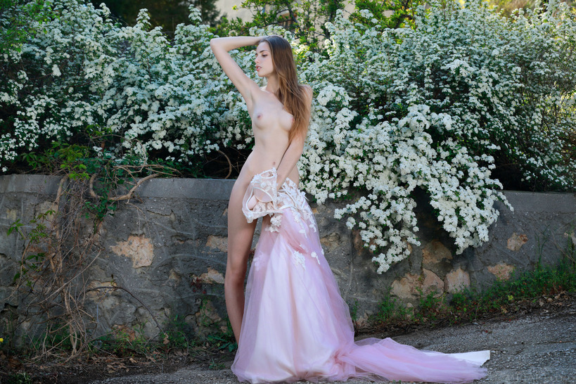 Fantasy Bride