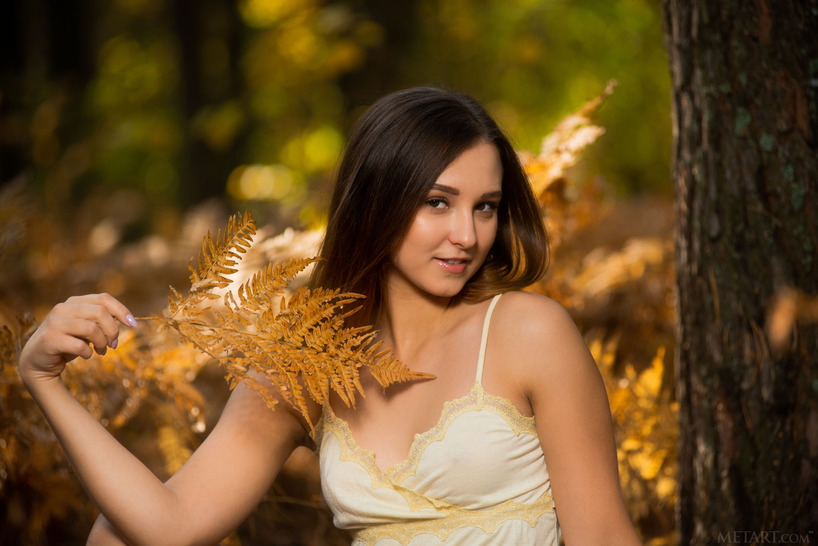 Autumn