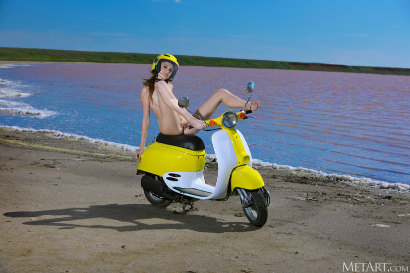Coastal Crush - picture 14