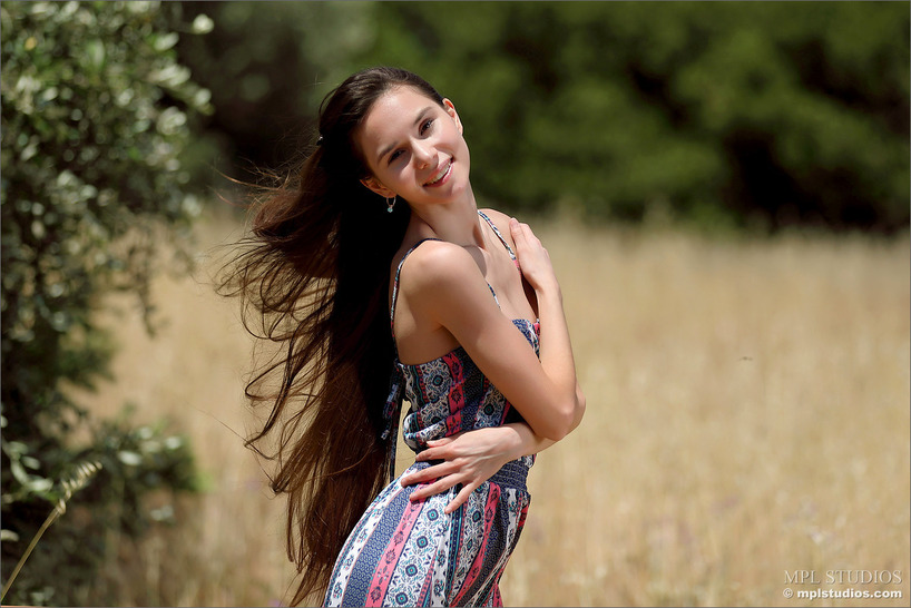 A Field To Dream - picture 1