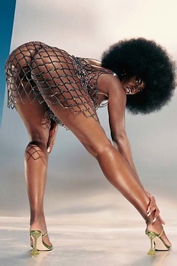 Erotic Tanerélle